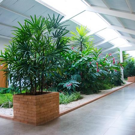Hotel Vila Verde Penápolis Εξωτερικό φωτογραφία